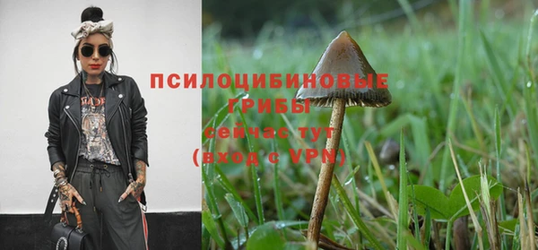 каннабис Армянск