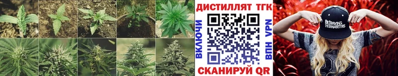 купить   Уяр  Дистиллят ТГК Wax 